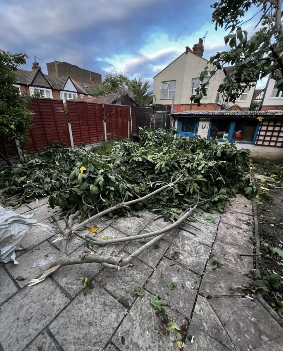 Garden waste clearance in Essex by Clear It Waste Management